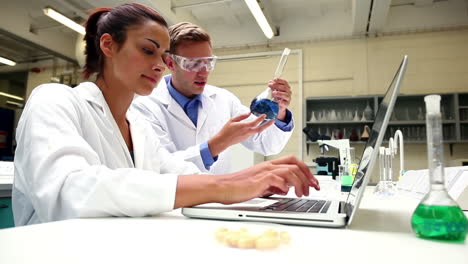 Attentive-science-students-examining-chemical-and-using-laptop