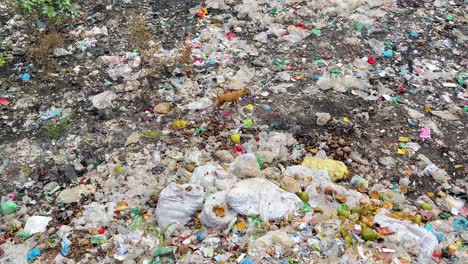 Stray-dog-walking-over-large-pile-of-plastic-trash,-problematic-waste-disposal