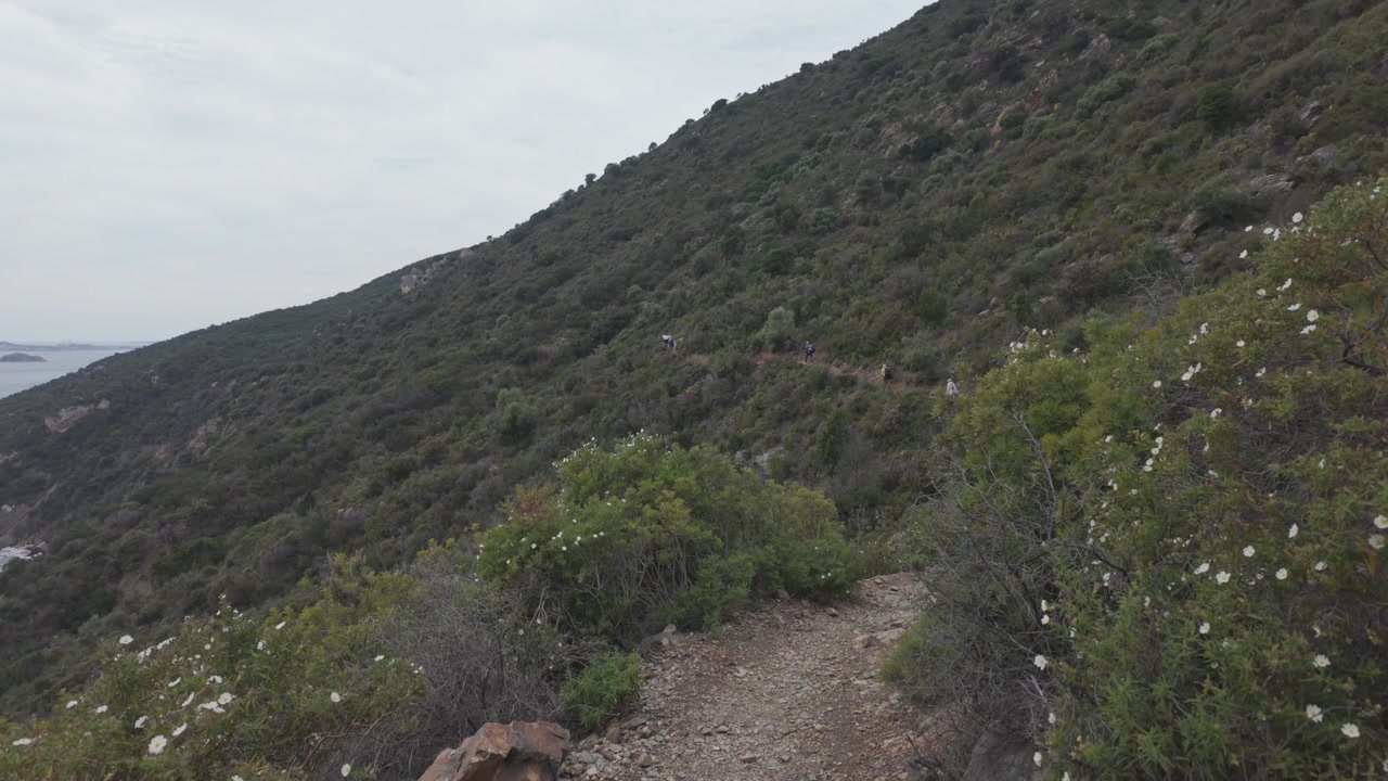 Una vista panoramica di un sentiero sterrato impervio che si snoda lungo i verdi pendii mediterranei di Pedra Longa, Sardegna. Ideale per documentari di viaggio e contenuti di avventura all'aperto.
