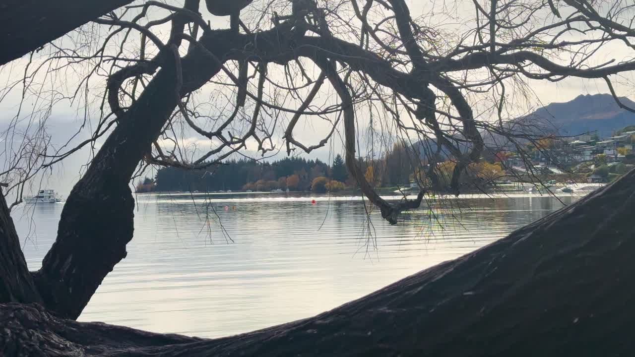 A tranquil lake scene framed by bare tree branches, with soft lighting and calm water, creating a peaceful atmosphere