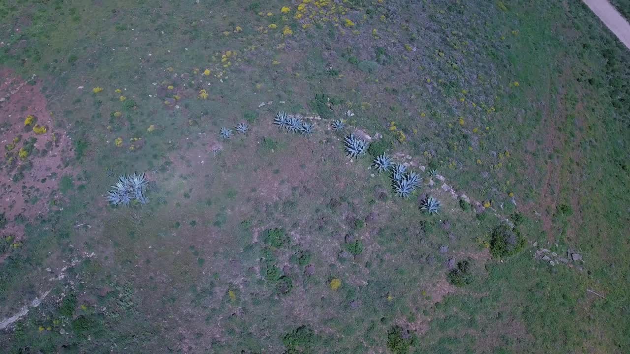 포르투갈의 초록색 농경지와 시골