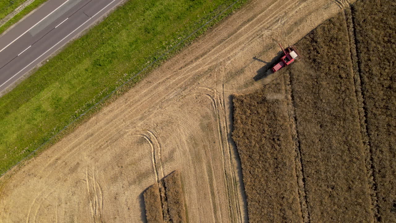toma aérea de arriba hacia abajo de la cosechadora recogiendo trigo en el campo al lado de la carretera