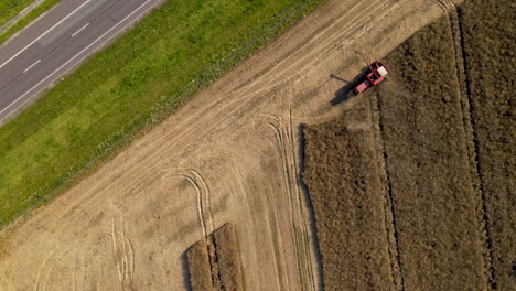 toma aérea de arriba hacia abajo de la cosechadora recogiendo trigo en el campo al lado de la carretera