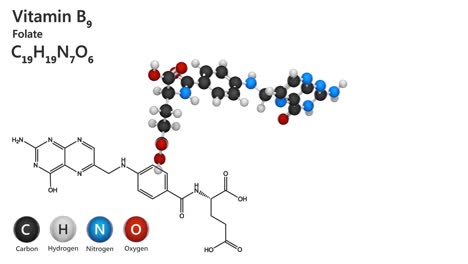 vitamin b9 (folate). seamless loop.