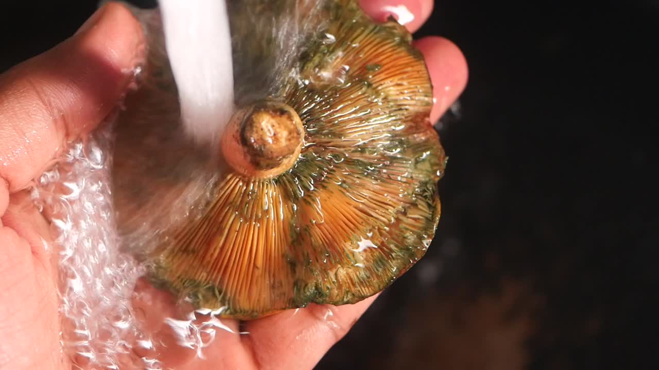 Washing a Mushroom