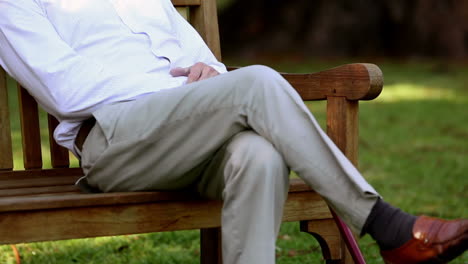 elderly man sleeping on bench
