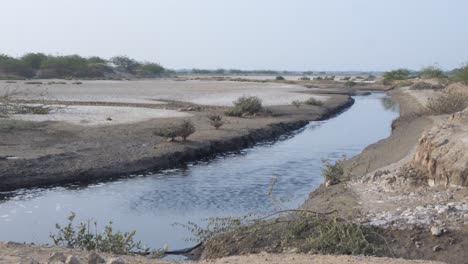 waterway running through mangrove deforestation area in karachi