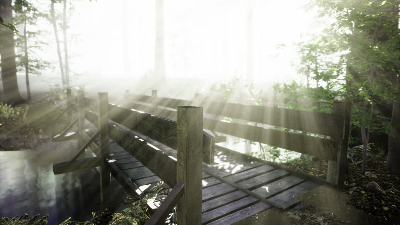 Sunlight shines through mist over a peaceful wooden bridge in the forest