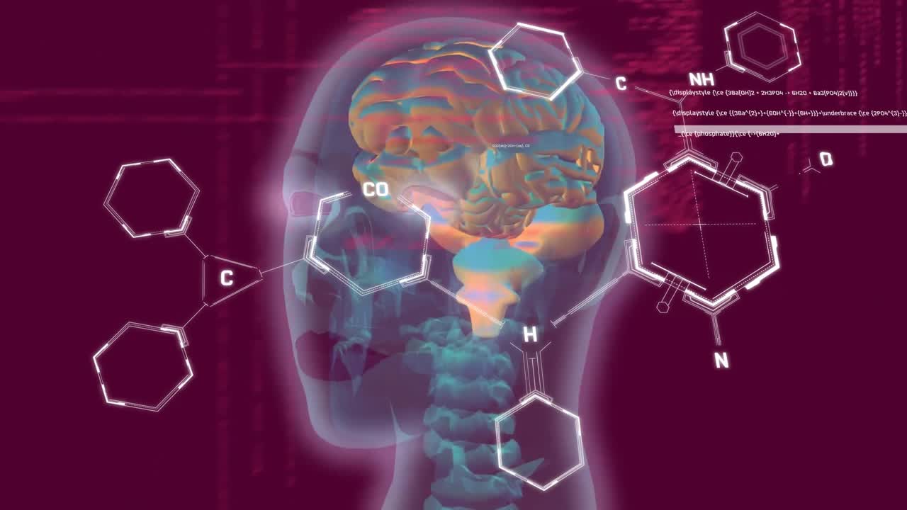 Animação de cérebro humano e processamento de dados científicos
