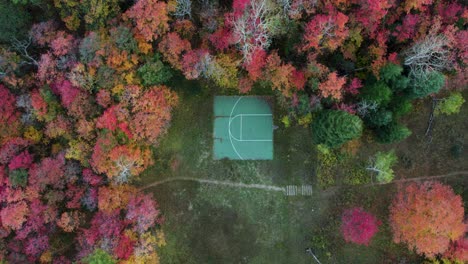밝은 단풍의 나무 사이에 버려진 바구니