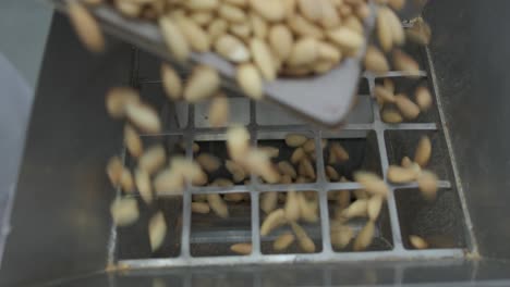 close-up of almonds falling into an industrial crusher at the factory