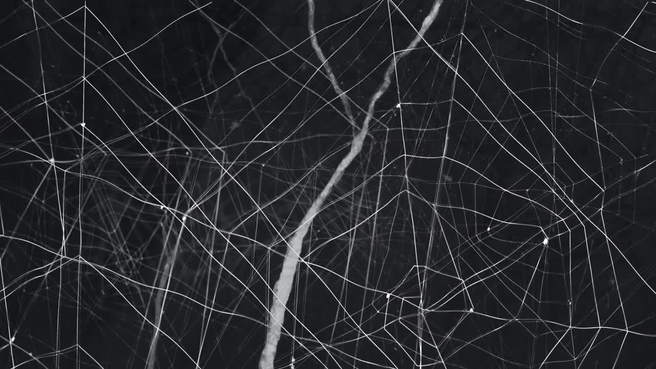 animación de formas en movimiento en halloween a través de la web