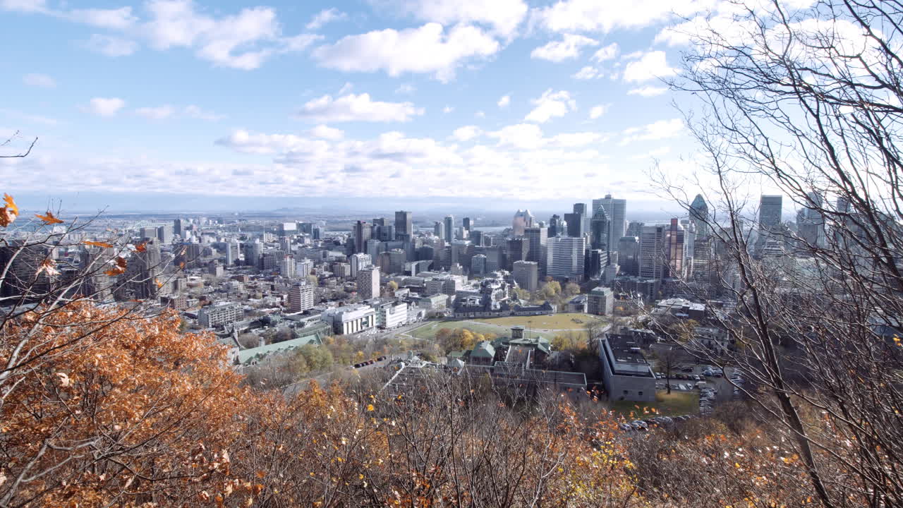 캐나다  ⁇  에 있는 마운트 로 ⁇  에서 볼 수 있는 몬트리올의 스카이라인