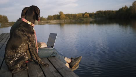 millennial freelancer work project laptop, with pet dog on pier on lake