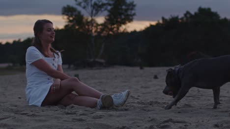 American-Staffordshire-Terrier-Trayendo-Pelota-A-Una-Mujer-Atractiva-Sentada-En-Dunas-De-Arena-Al-Atardecer