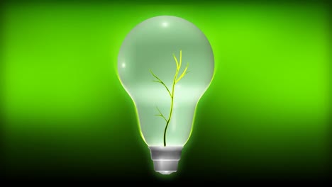 Plant-Growing-from-a-light-Bulb