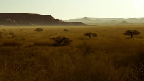 sunrise over the savanna with elephants in the distance