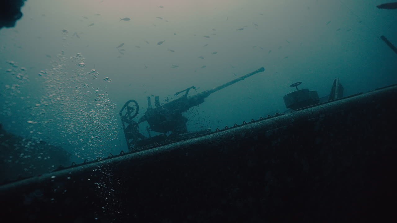 Rusty Underwater Gun on a Shipwreck