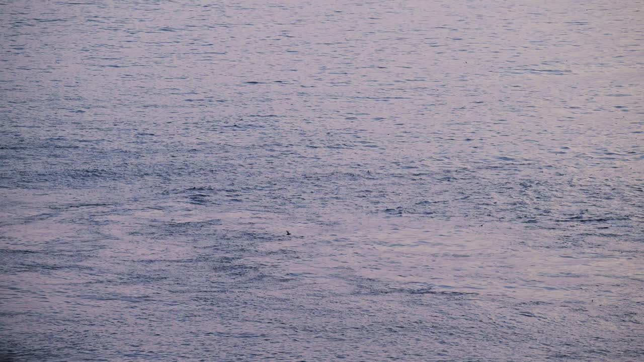 Riptide Ocean Currents of Sea Water Moving, Aerial Elevated View from Above of Patterns in the Ocean, Background with Copy Space