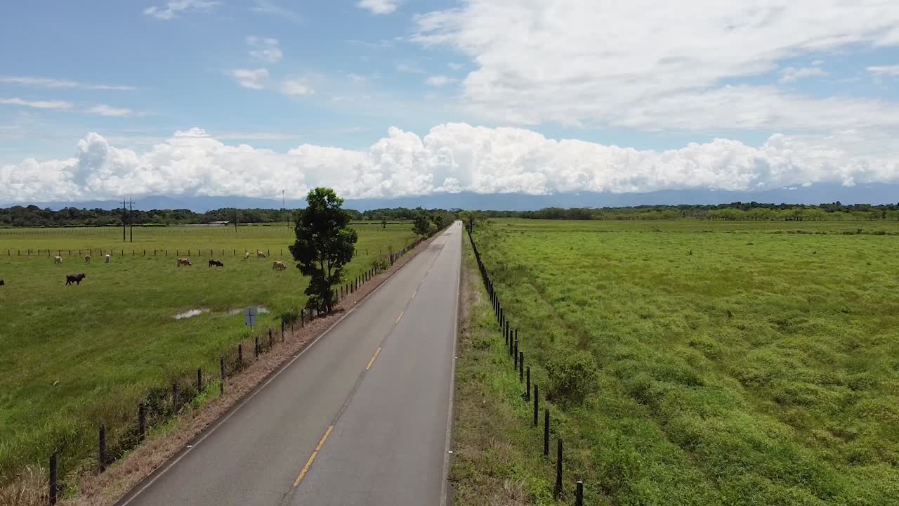 드론이 도로 위로 날아가서 날아갑니다.