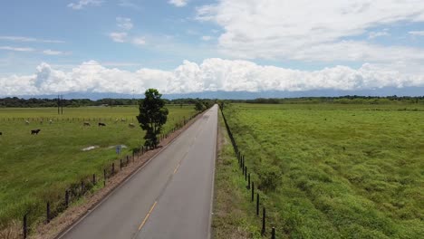 Dron-flies-down-over-the-road-and-flies