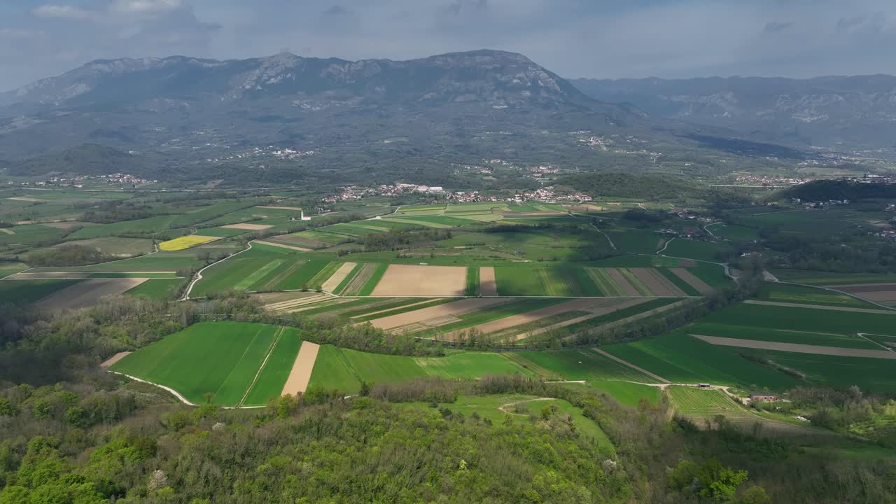 Lush green fields and distant mountains surrounding the Vipava region in Slovenia