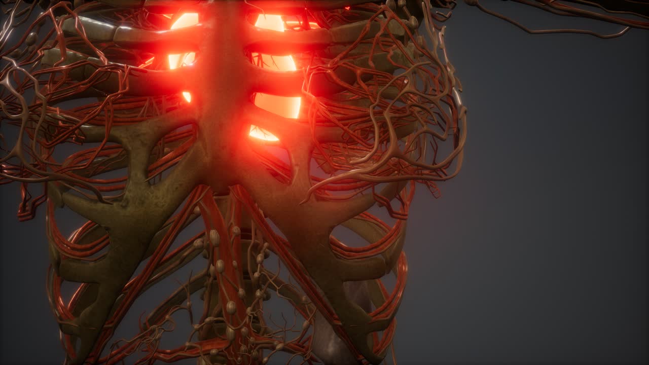 animación cg de un corazón humano enfermo