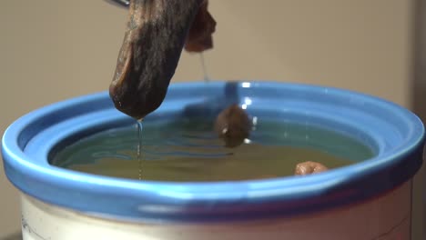 cbd oil extraction from marijuana buds tied in cheese cloth and heated with coconut and olive oil. slow motion.