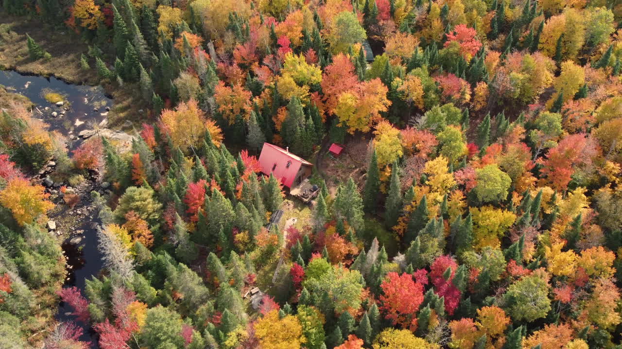Cinematic shot of drone circling around a wooden house in the middle of forest with fall colors and river at the back, Algonquin Provincial Park
