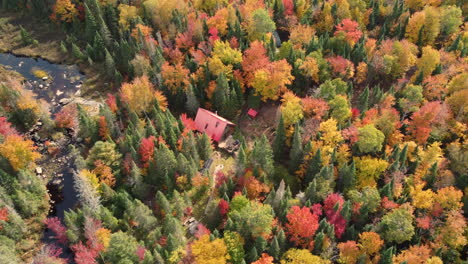 Toma-Cinematográfica-De-Drones-Dando-Vueltas-Alrededor-De-Una-Casa-De-Madera-En-Medio-Del-Bosque-Con-Colores-Otoñales-Y-Río-En-La-Parte-Trasera,-Parque-Provincial-De-Algonquin