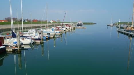 flying low to the water at the harbour towards the boats