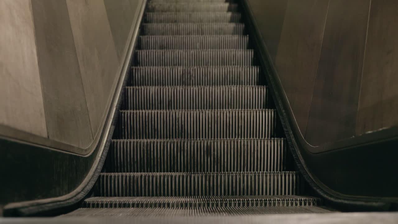 Escalator Steps