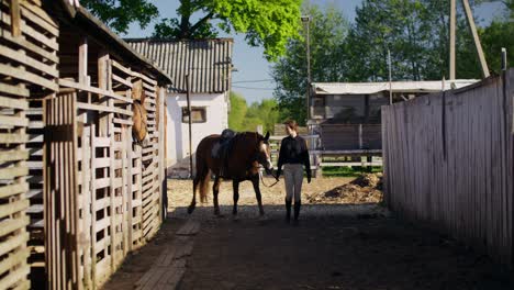 woman walking with horse in a rural stable