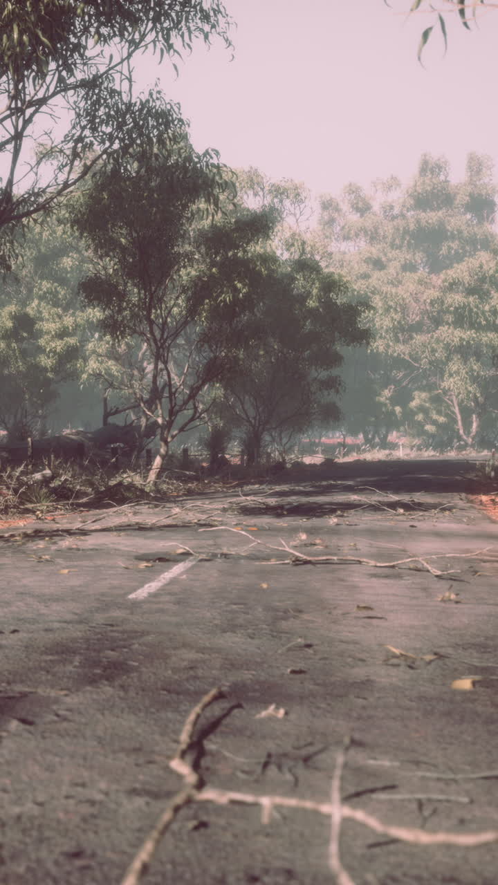 안개 숲 을 가로질러 버려진 길