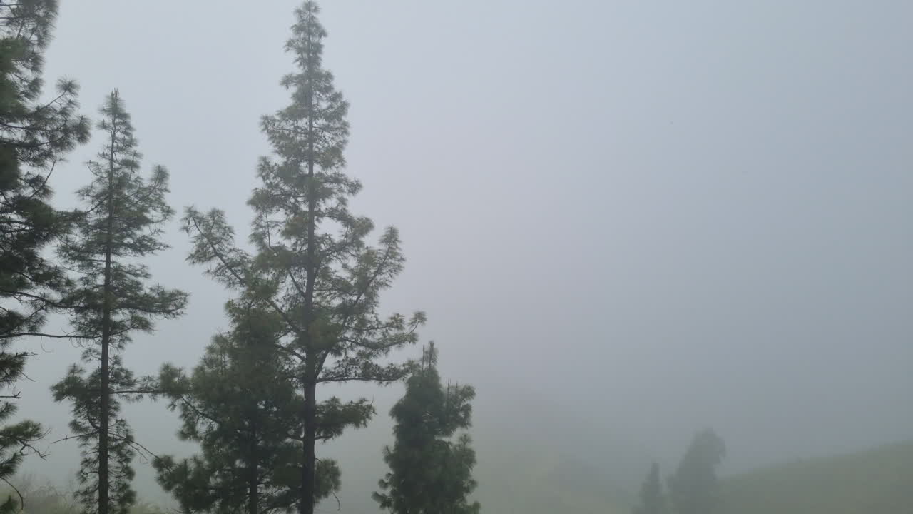 Woman looking at a foggy mountain landscape in Tejeda, Gran Canaria