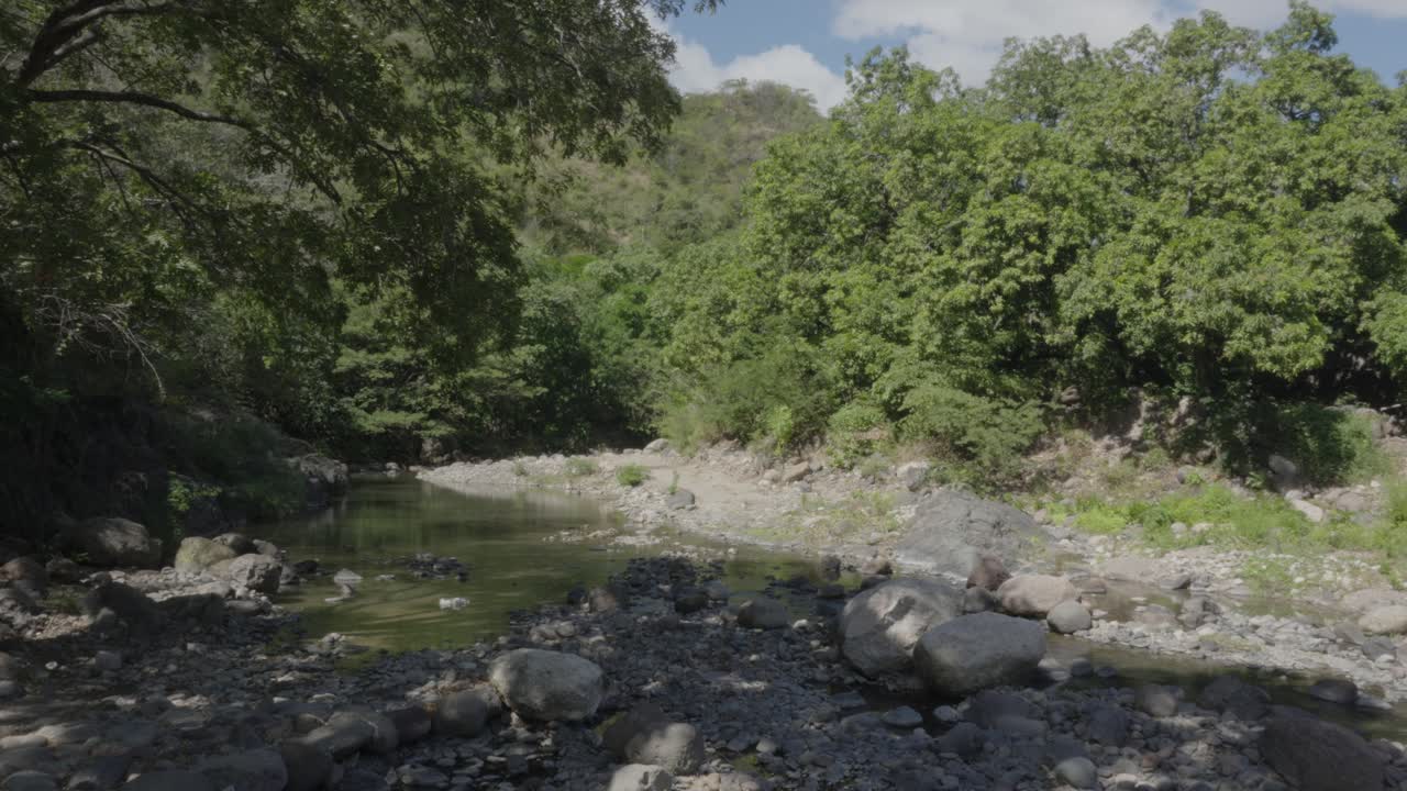 Paesaggio di un ruscello colpito dalla siccità nel mezzo della foresta nell'Honduras meridionale
