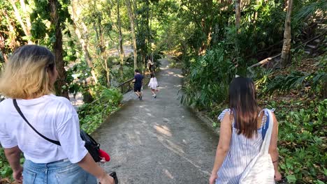 people walking a path through a forest