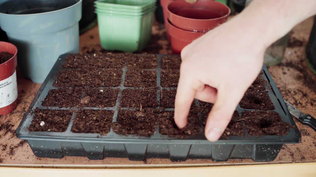 Una mano crea un foro nel semenzaio con il dito - Primo piano