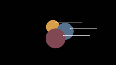 Infografik-Etiketten-Und-Konnektoren-Paket-1