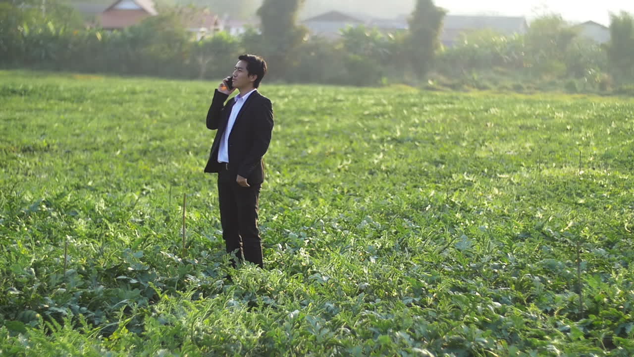 Business Man Talking On Mobile Phone In Melon Field