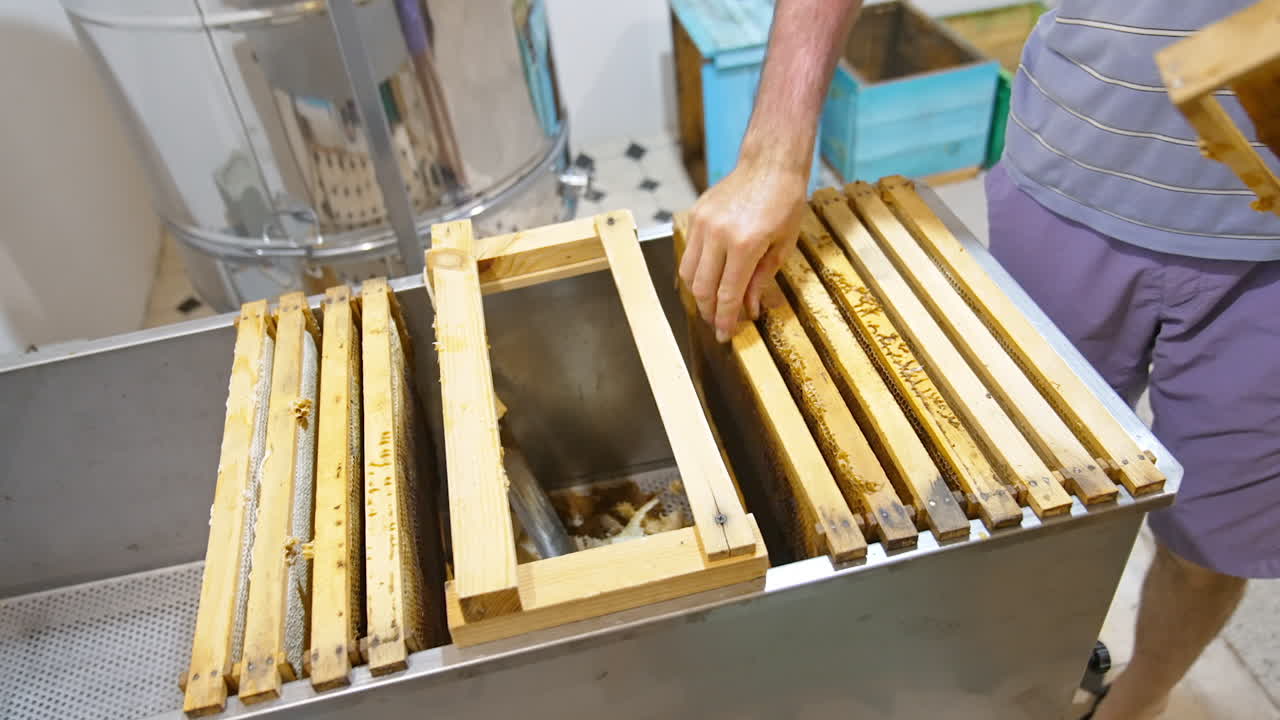 Apiculturist places the honey frames into the metal box. Honey extracting device and beehives at backdrop.