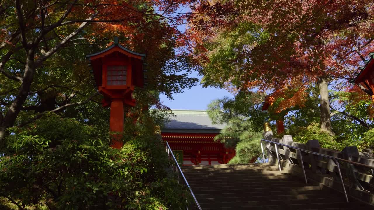 Beautiful slider shot over shrine approach with fall foliage in Japan