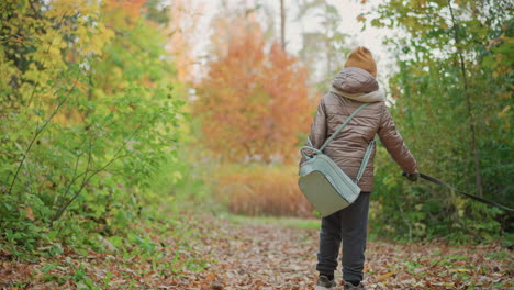 back view of child in warm coat and beanie holding leash as energetic dog pulls forward along vibrant autumn forest path, surrounded by golden foliage under soft daylight