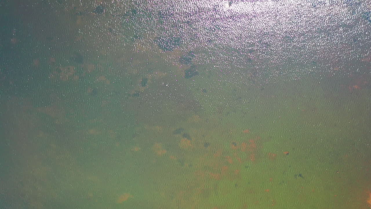 vista aérea de arriba hacia abajo de un lago con agua clara, agua que brilla a la luz del sol