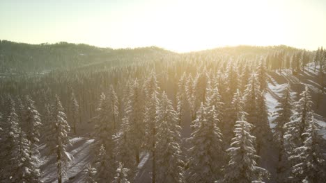 Mountain-Landscape-on-a-Winter-Sunny-Day