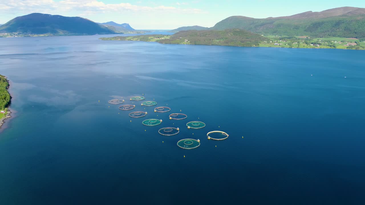 노르웨이에서 연어  ⁇ 시를 하는 공중 촬영