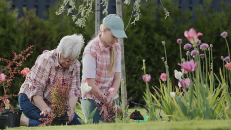 woman and child plant flowers together in the backyard of the house