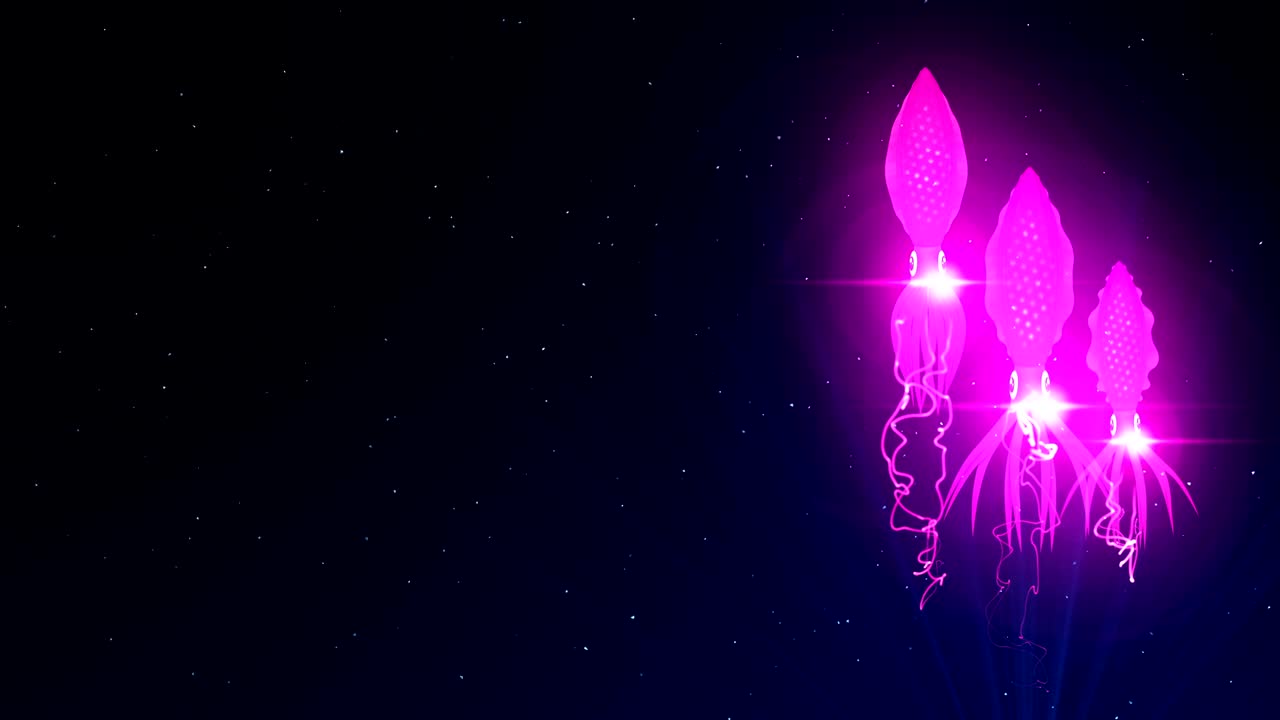 수중에서 컬러 빛으로 조명된 오징어, cg 애니메이션, 루프