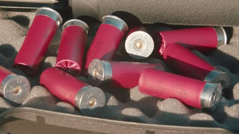 shotgun shells scattered in a gun case. the camera pans left