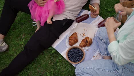 a family enjoying a picnic in the park